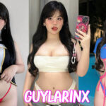 Guylarinx